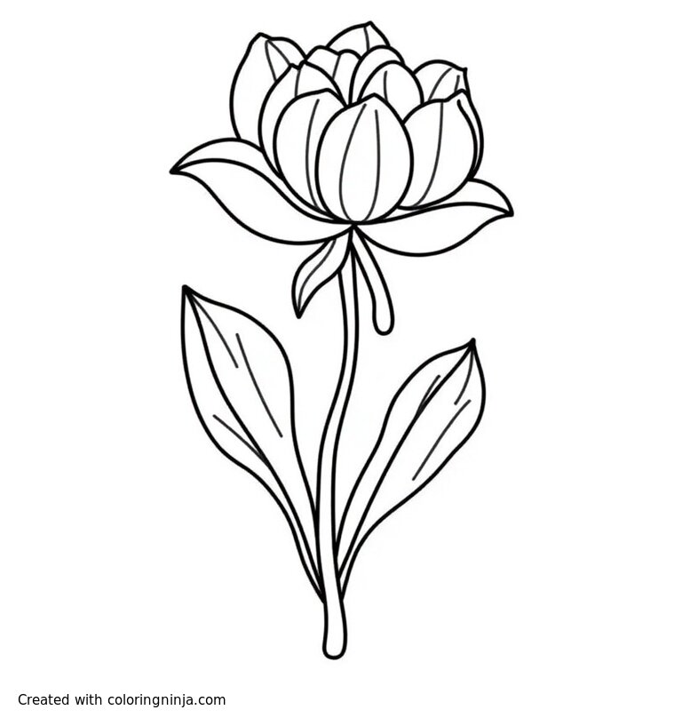 A coloring page of Milkweed Flower