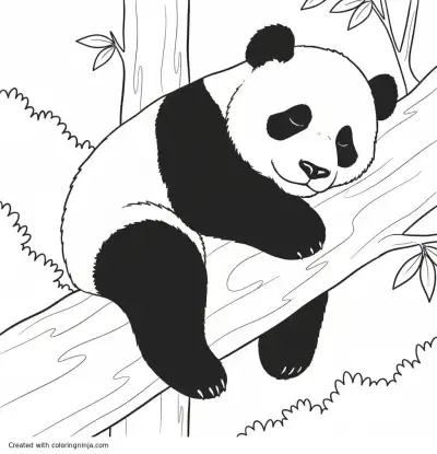 A coloring page of Panda on a tree branch