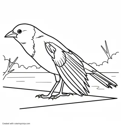 A coloring page of A black and yellow bird on a branch