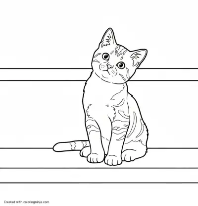 A coloring page of Whimsical Cat on a Shelf