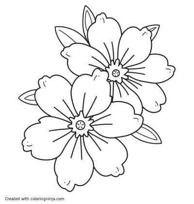 A coloring page of Plumeria Flowers