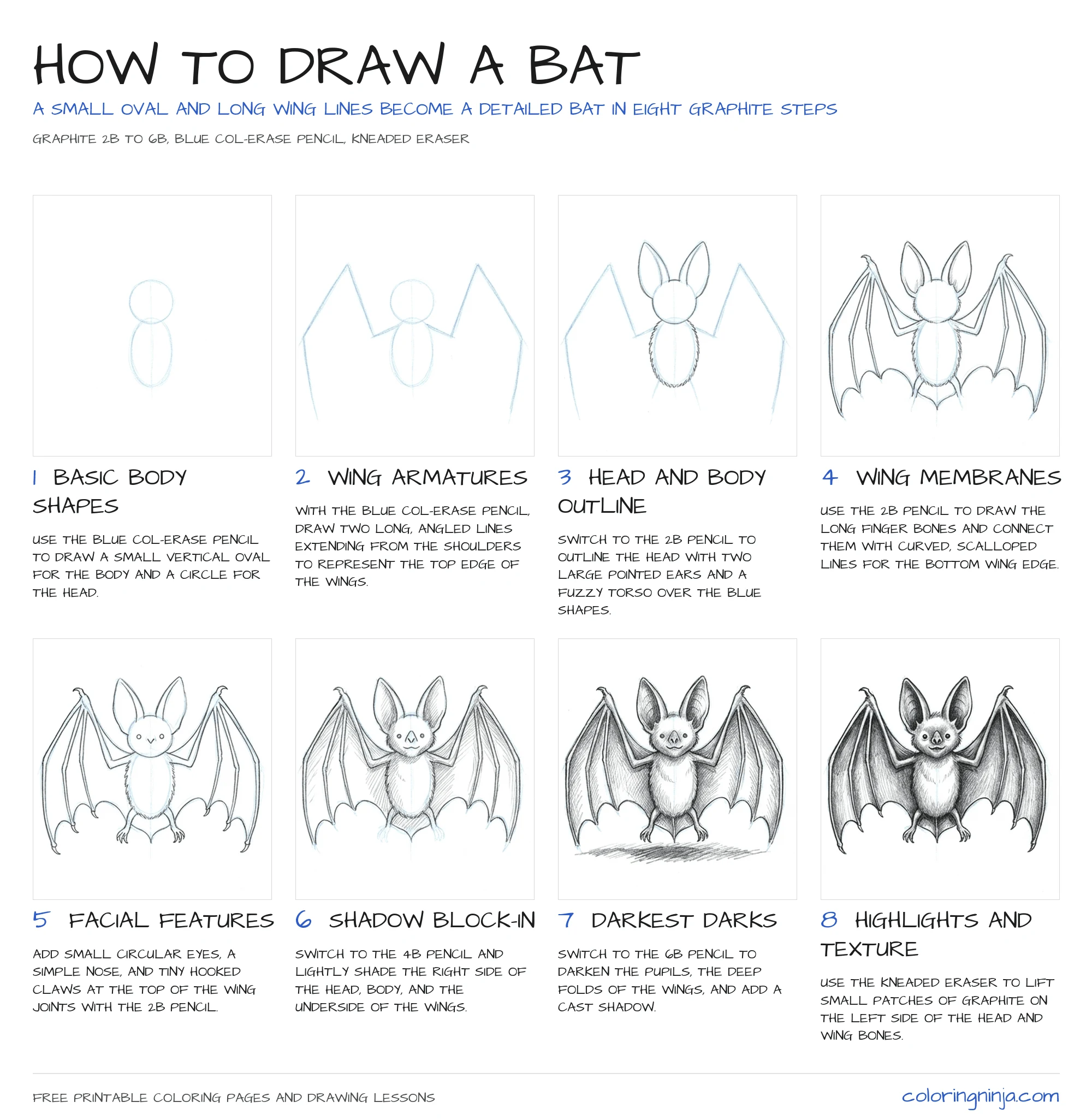 How to draw a Bat: the 8-step lesson sheet