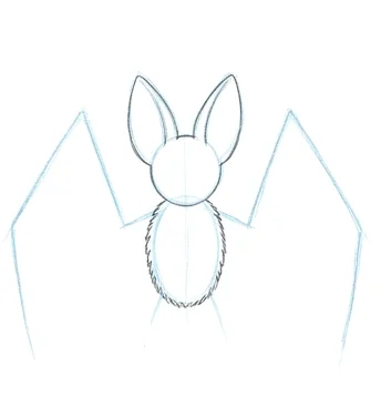 Step 3: Head and body outline