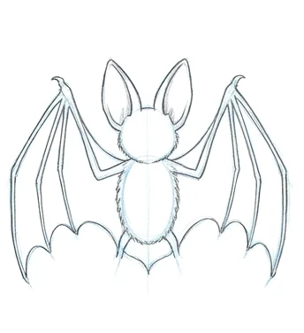 Step 4: Wing membranes