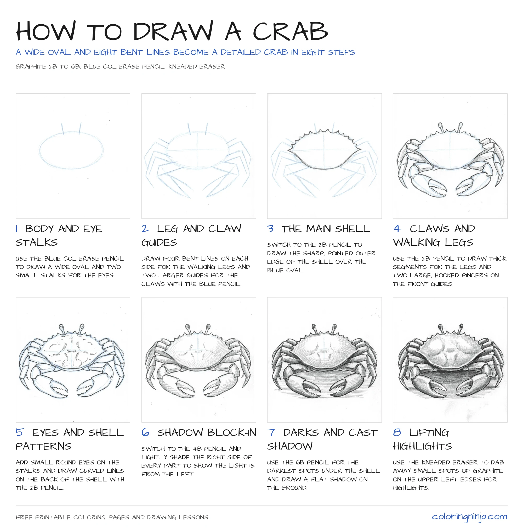 How to draw a Crab: the 8-step lesson sheet