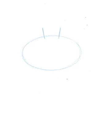 Step 1: Body and eye stalks