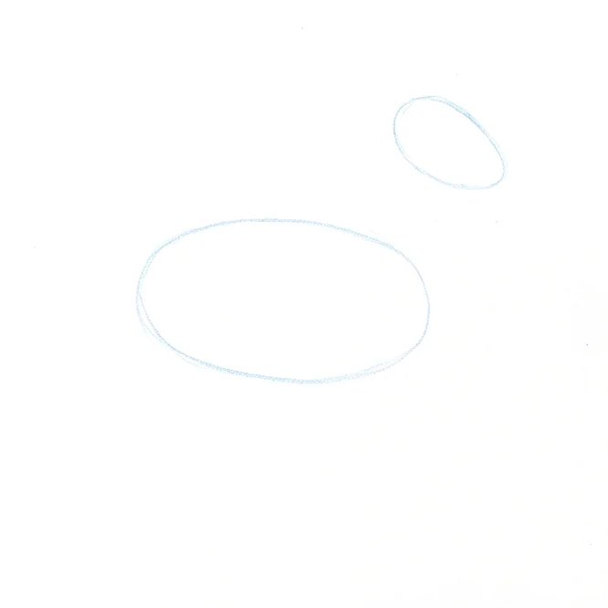 Step 1: Body and head ovals