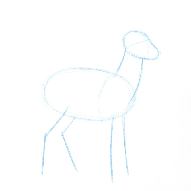 Step 2: Neck and leg lines