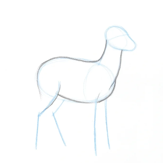 Step 3: Body and neck contour