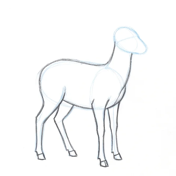 Step 4: Legs and hooves