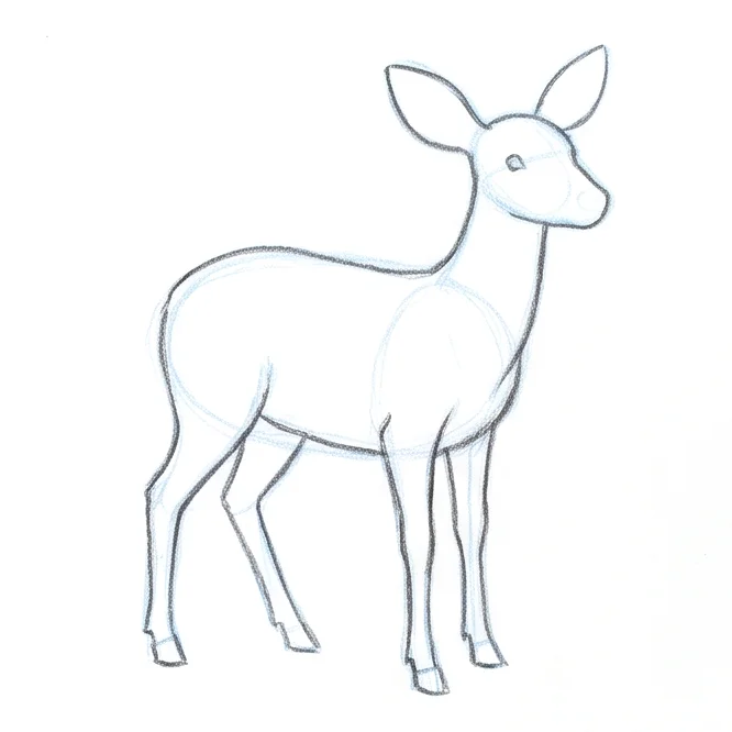 Step 5: Face and ears