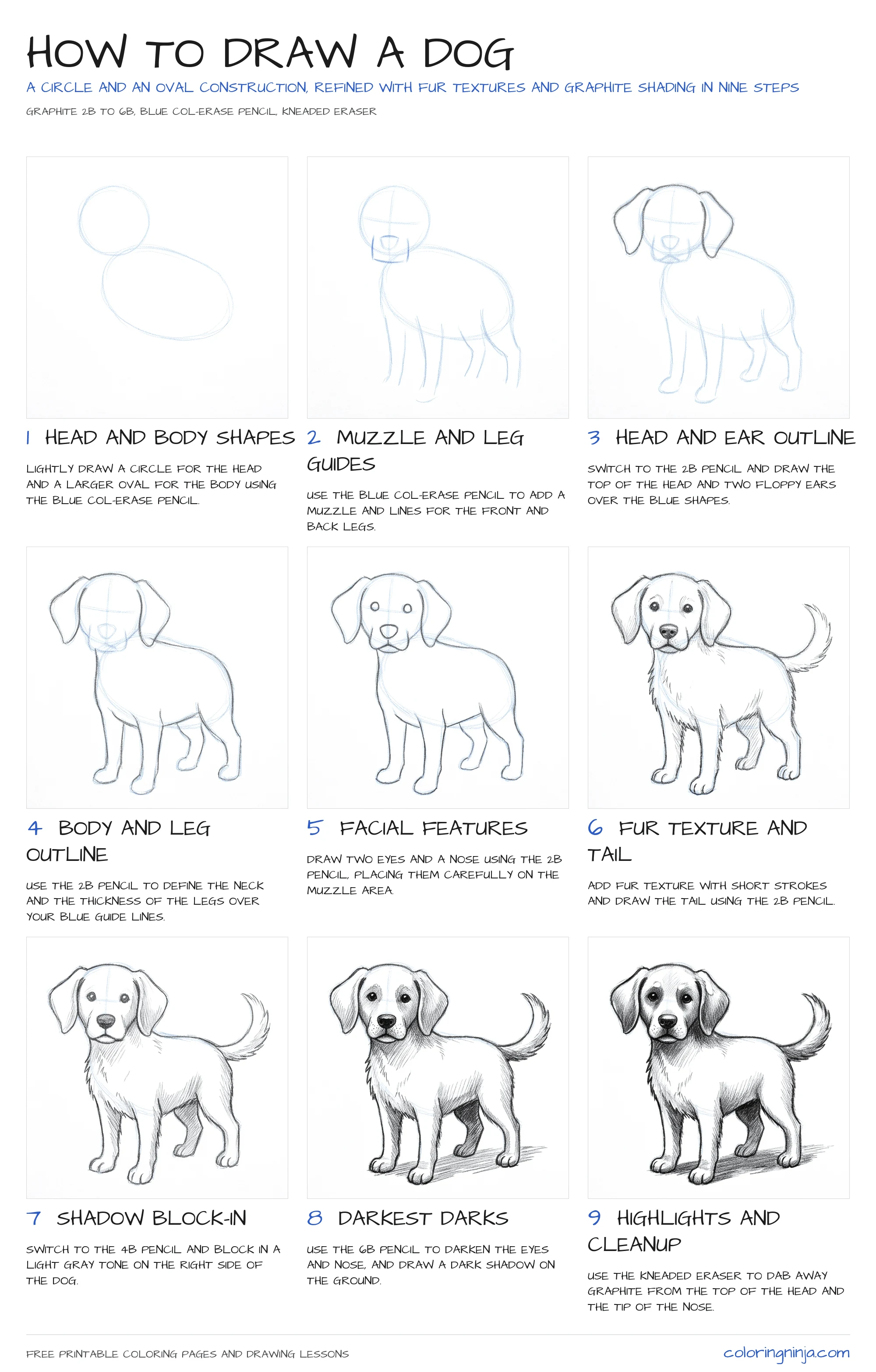 How to draw a Dog: the 9-step lesson sheet