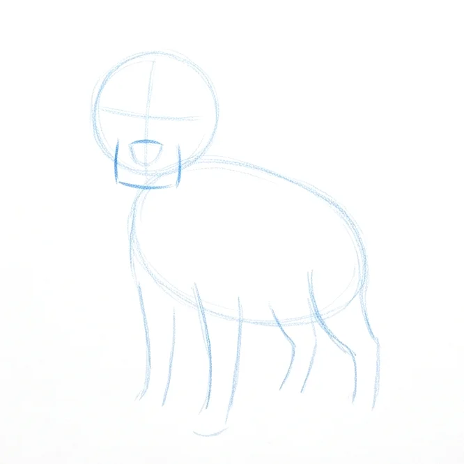 Step 2: Muzzle and leg guides