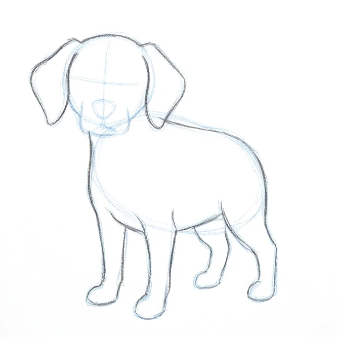 Step 4: Body and leg outline