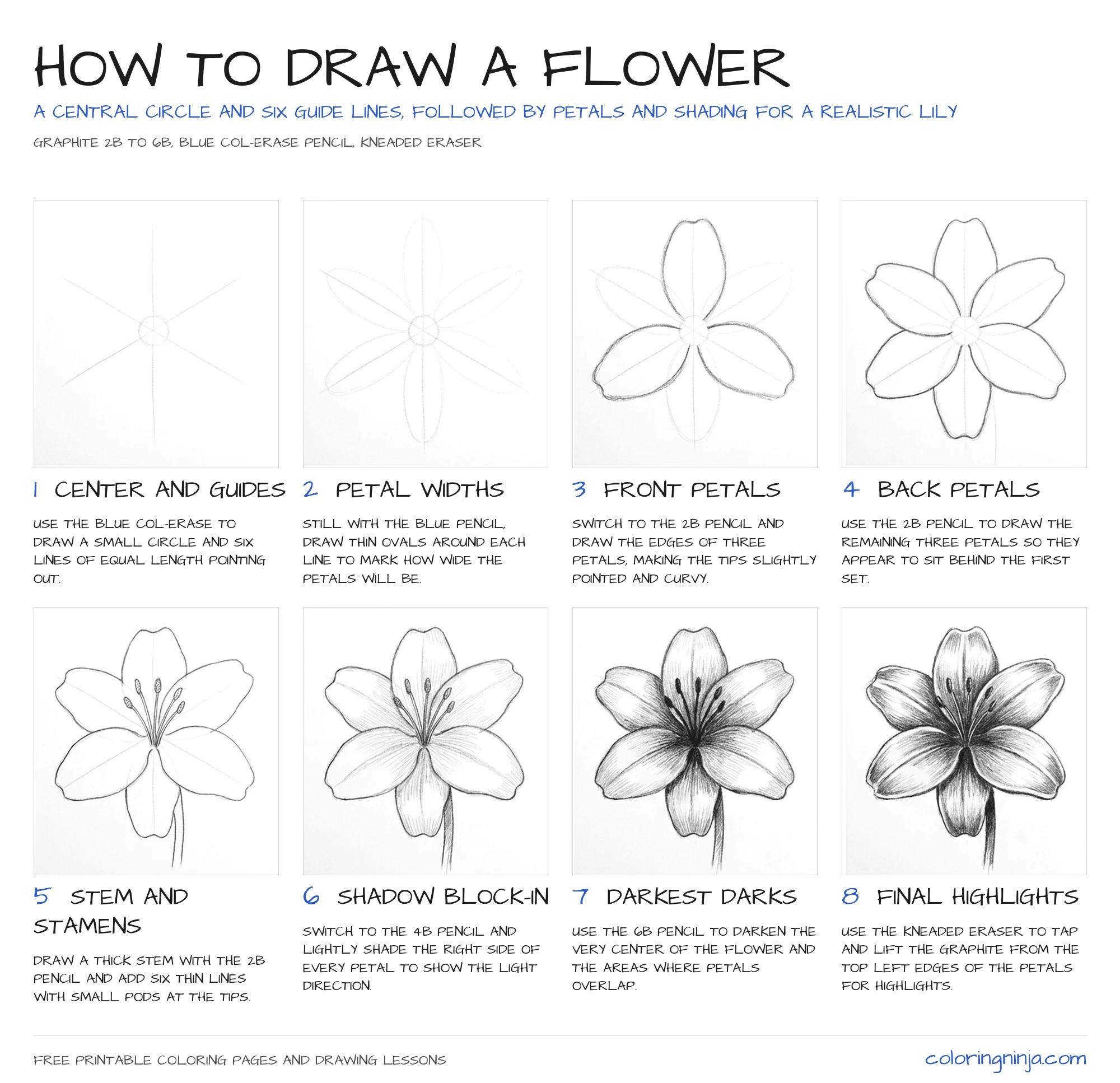 How to draw a Flower: the 8-step lesson sheet