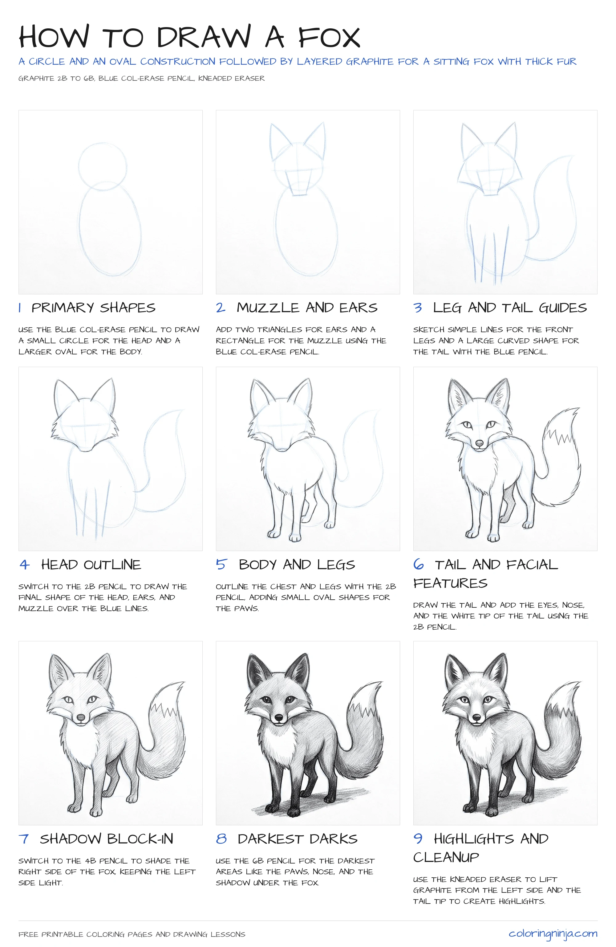 How to draw a Fox: the 9-step lesson sheet