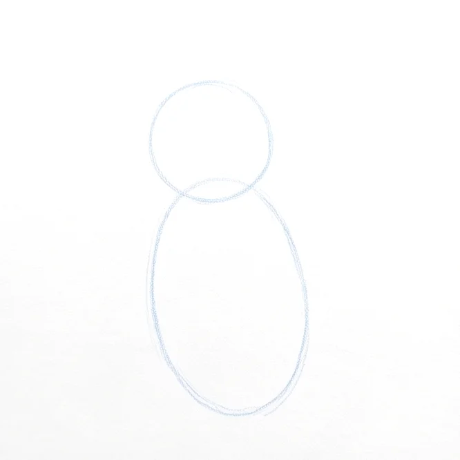Step 1: Primary shapes