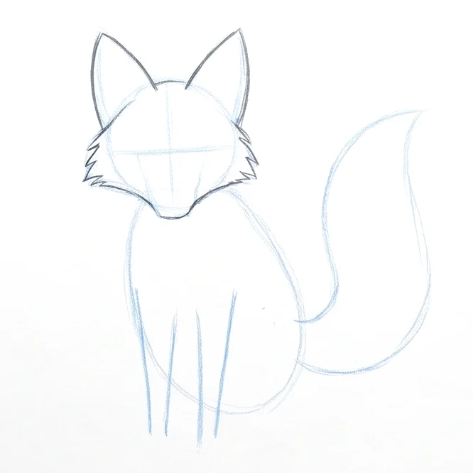 Step 4: Head outline