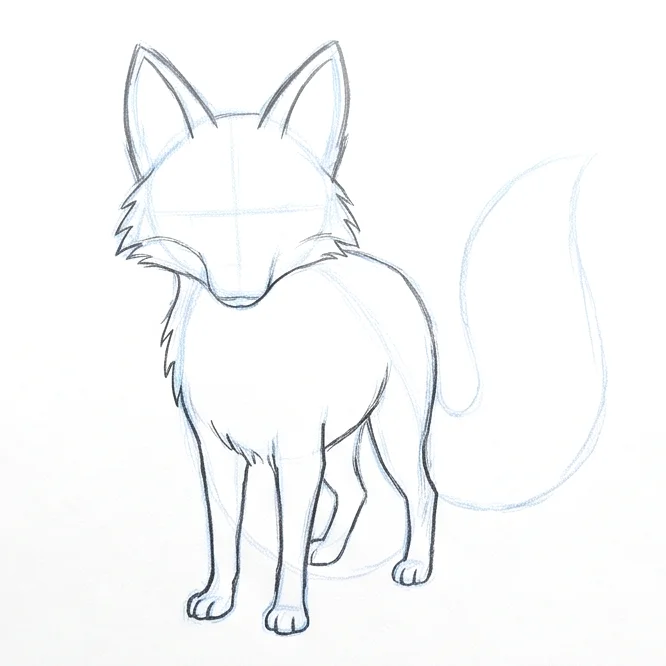 Step 5: Body and legs