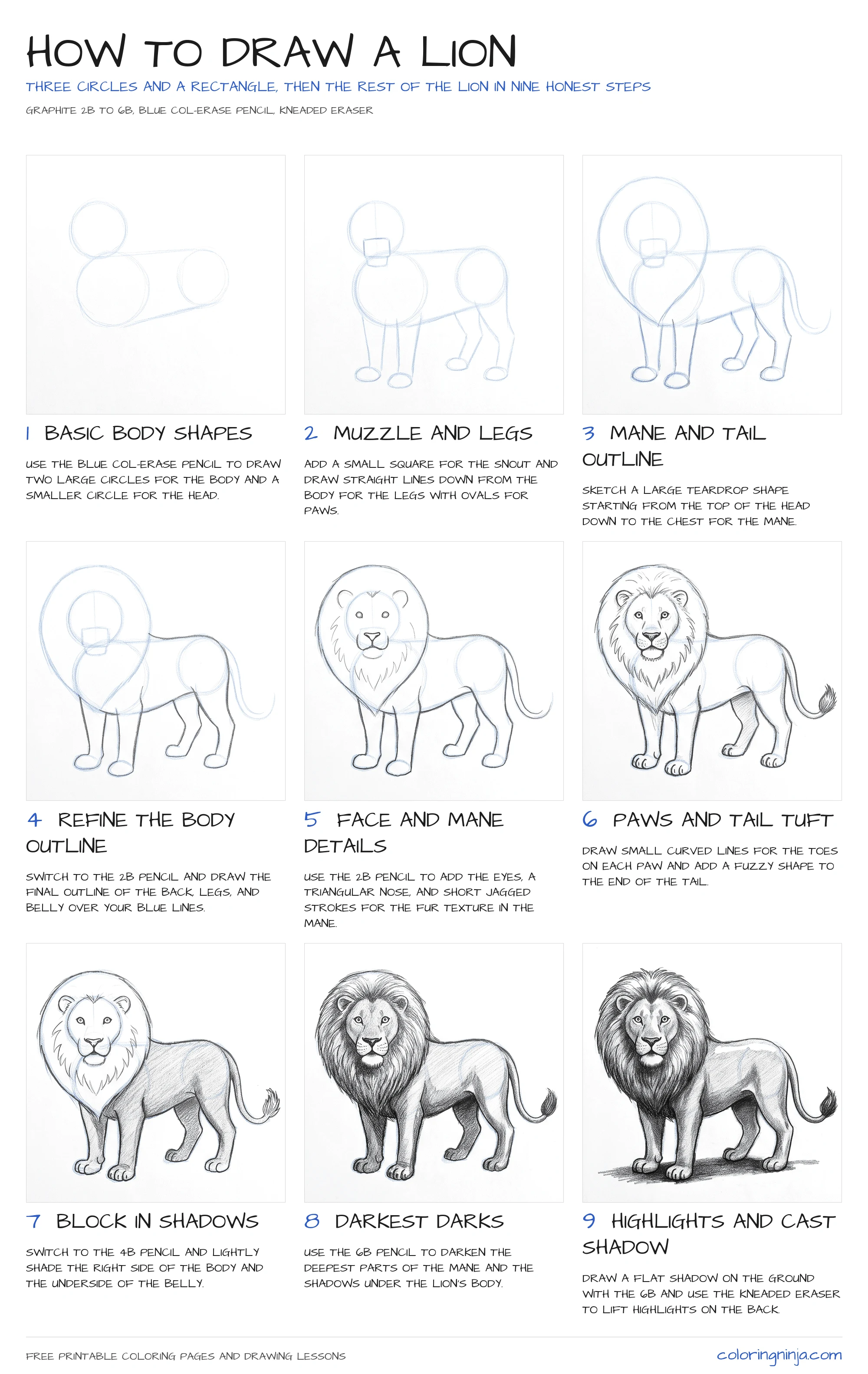How to draw a Lion: the 9-step lesson sheet