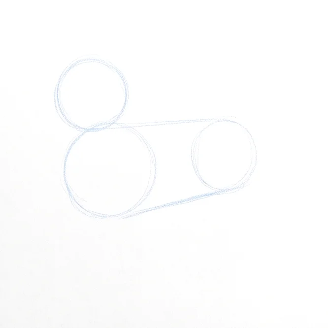 Step 1: Basic body shapes