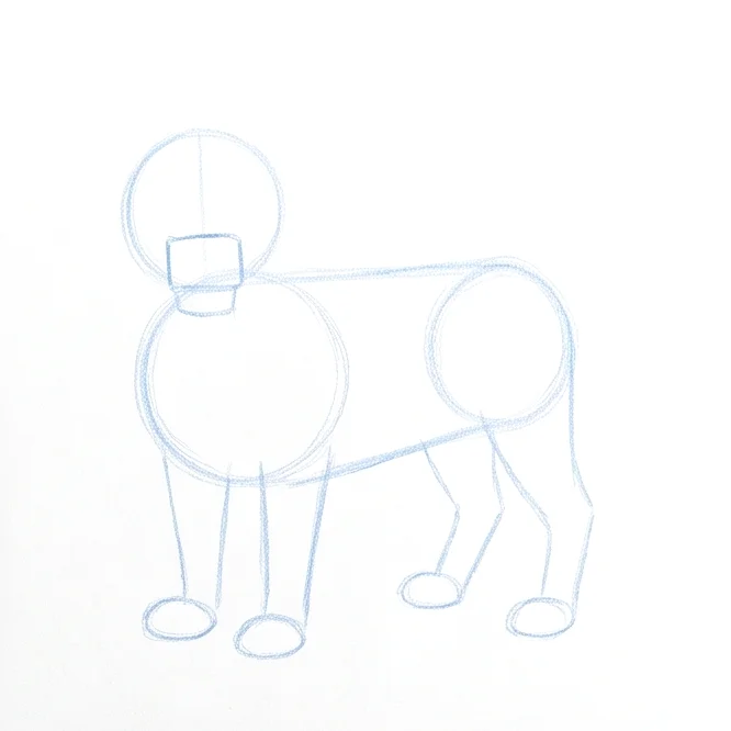Step 2: Muzzle and legs