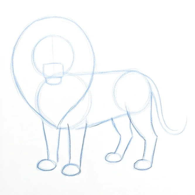 Step 3: Mane and tail outline
