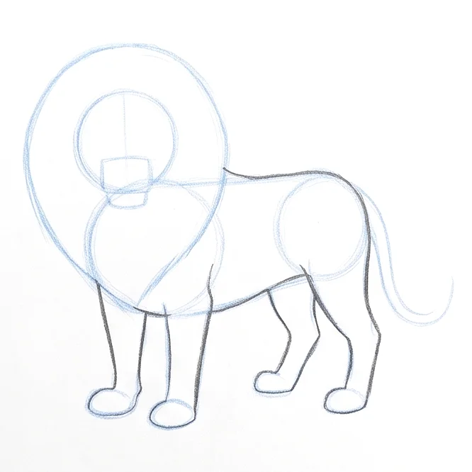 Step 4: Refine the body outline