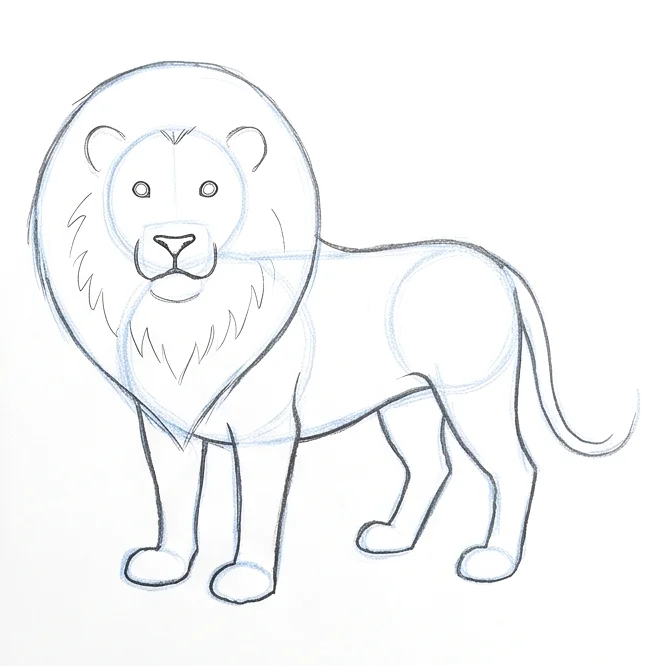 Step 5: Face and mane details