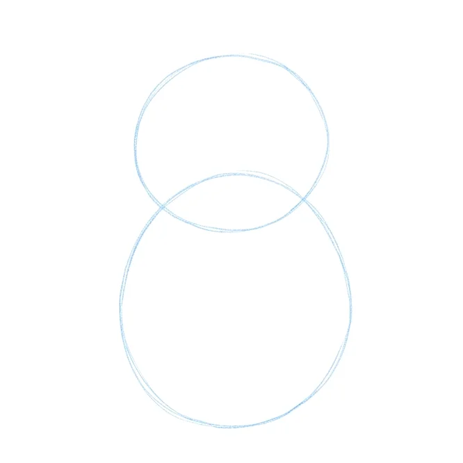 Step 1: Basic body shapes