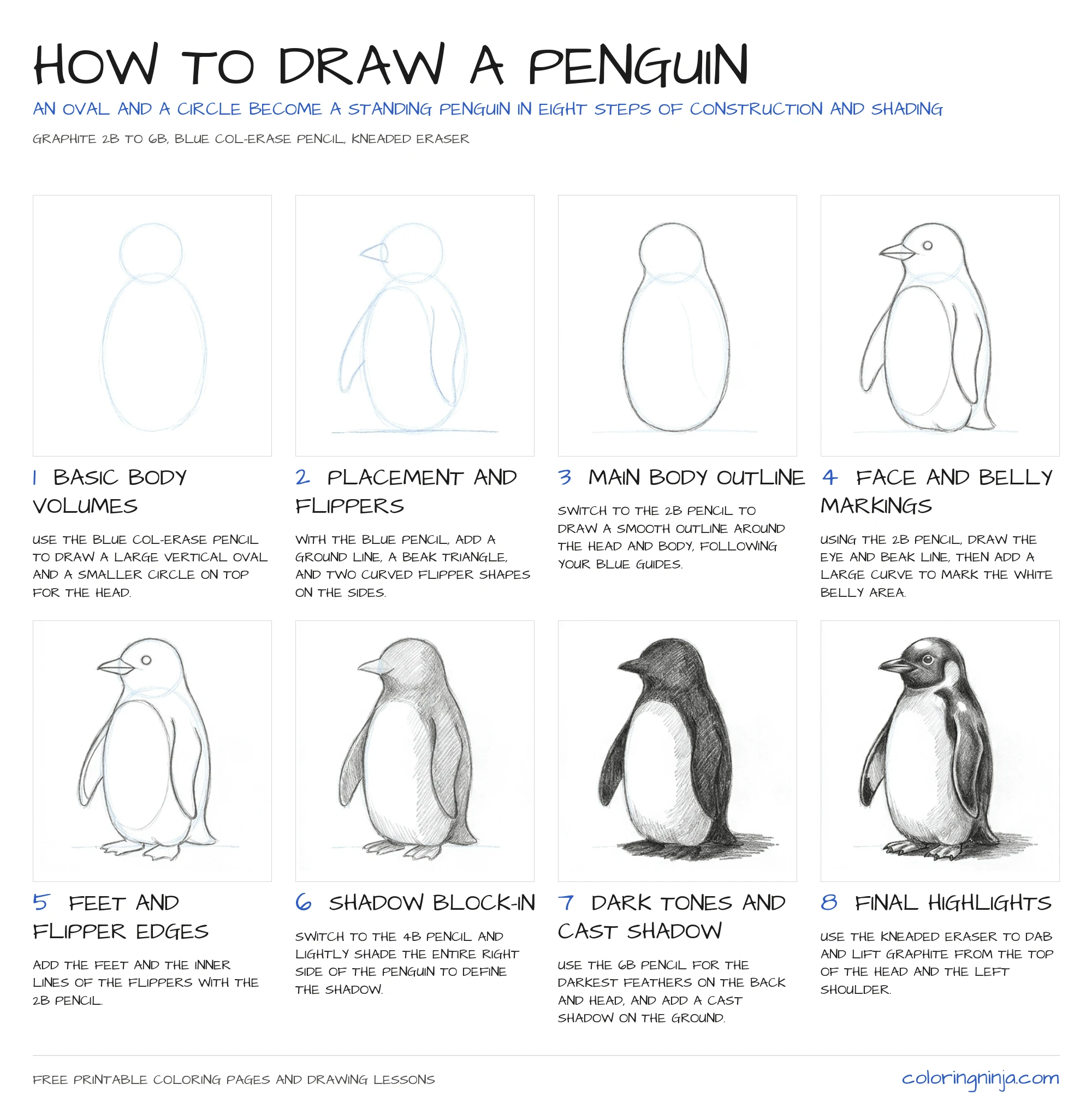 How to draw a Penguin: the 8-step lesson sheet