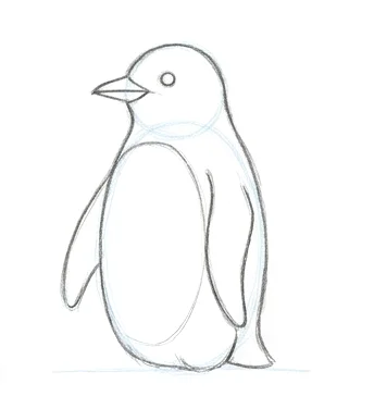 Step 4: Face and belly markings