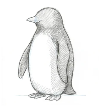 Step 6: Shadow block-in