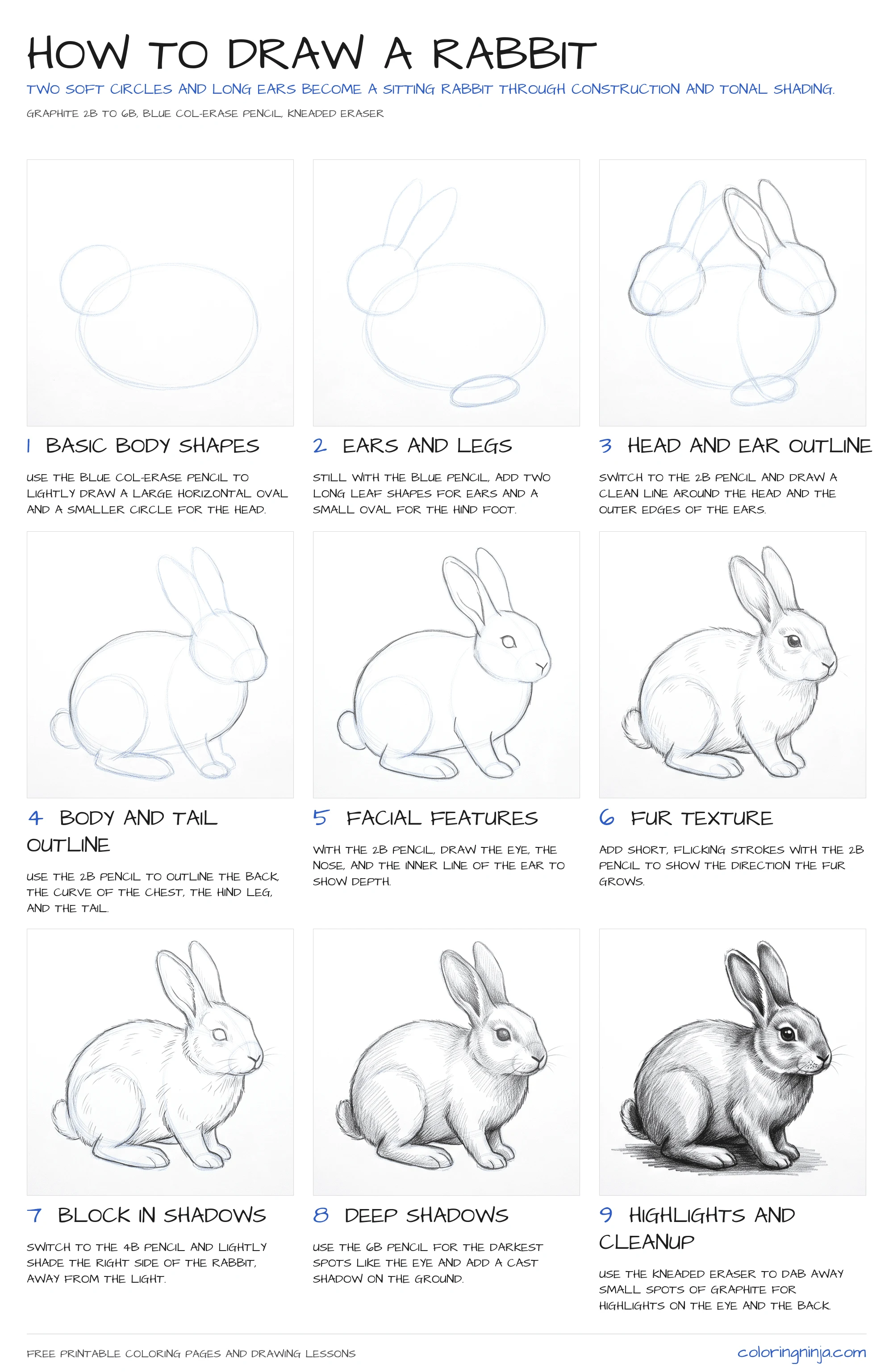 How to draw a Rabbit: the 9-step lesson sheet