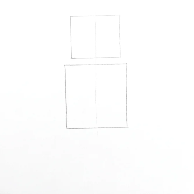 Step 1: Primary boxes