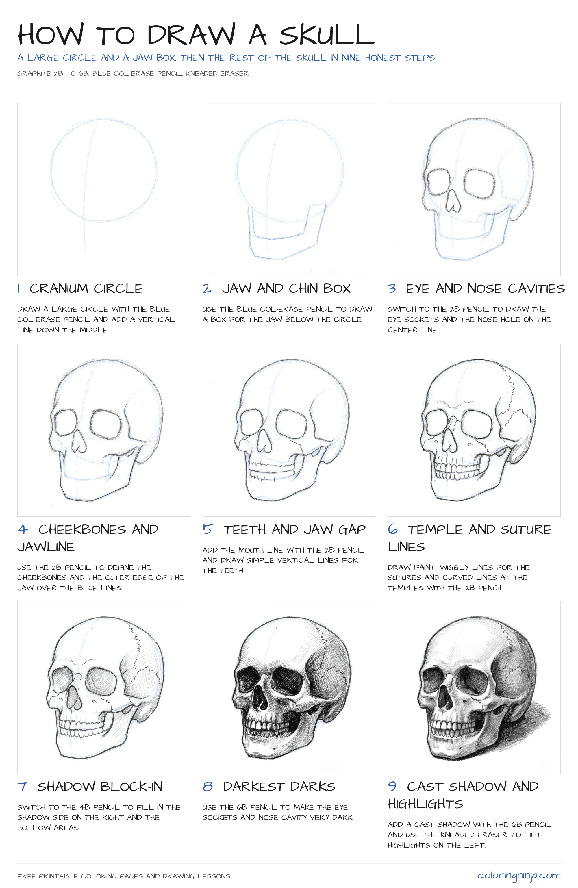 How to draw a Skull: the 9-step lesson sheet