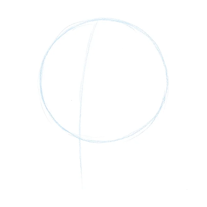 Step 1: Cranium circle