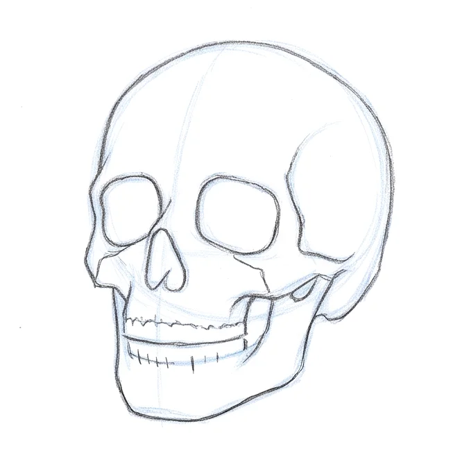 Step 5: Teeth and jaw gap