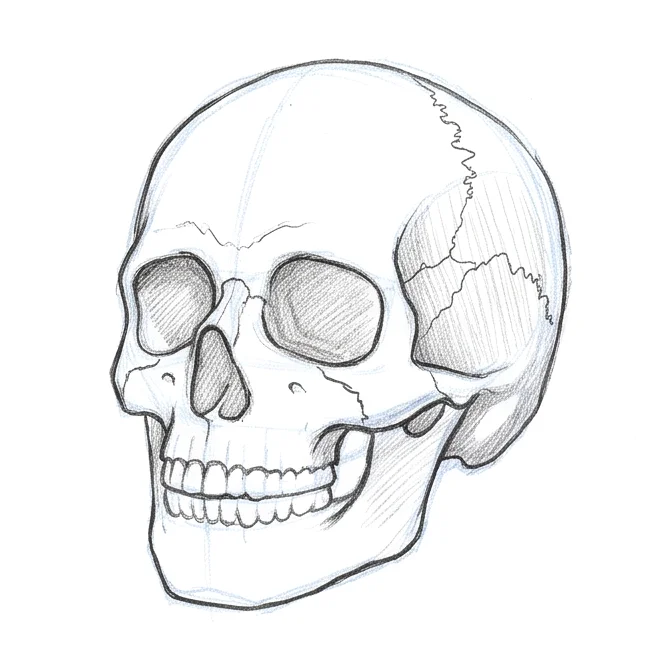 Step 7: Shadow block-in