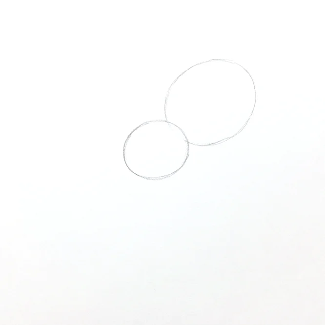Step 1: Body construction