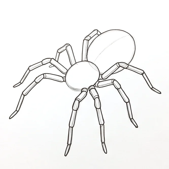 Step 4: Leg thickness