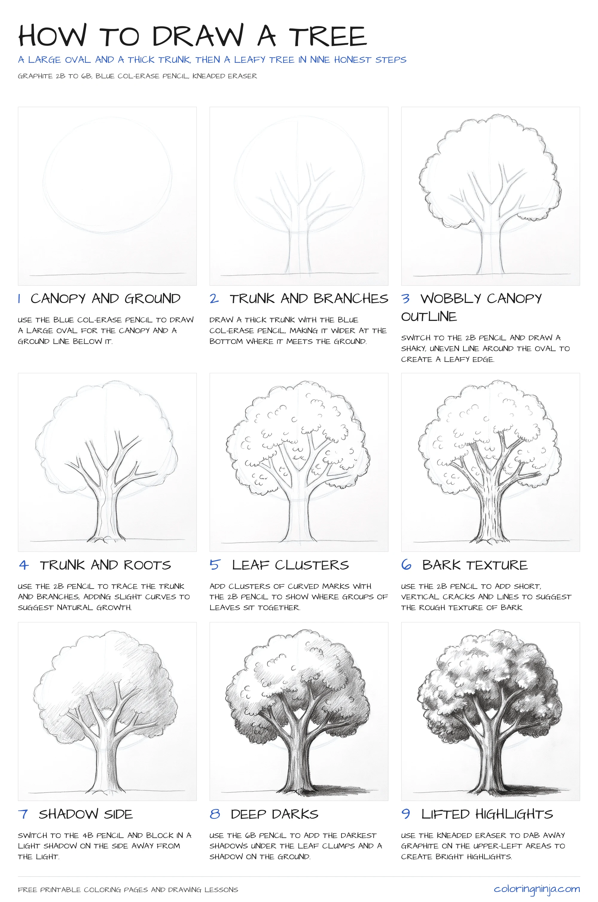 Tree Drawing Entorage How to Draw a Tree, Step by Step - Coloring Ninja