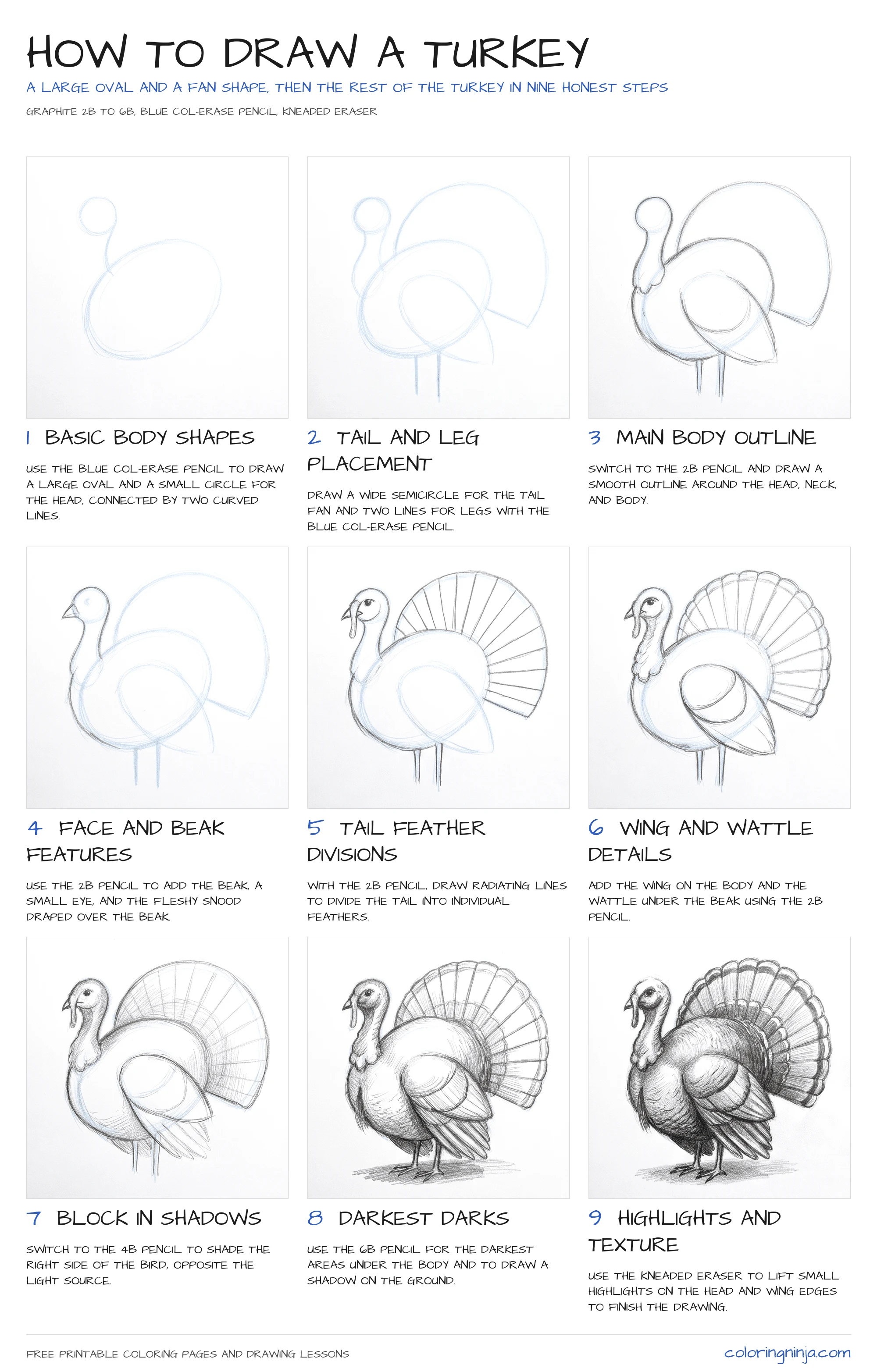 How to draw a Turkey: the 9-step lesson sheet