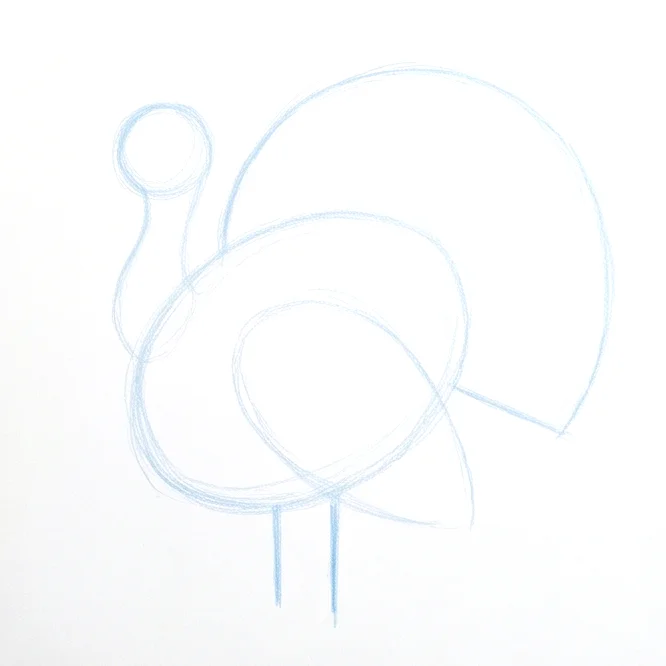 Step 2: Tail and leg placement