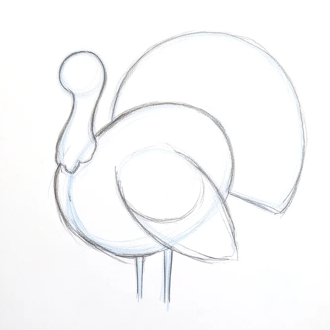 Step 3: Main body outline