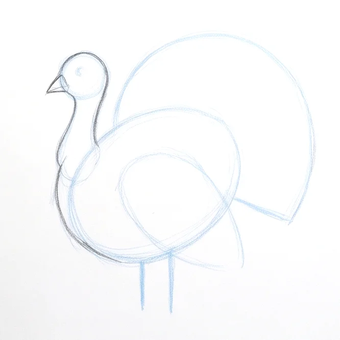 Step 4: Face and beak features