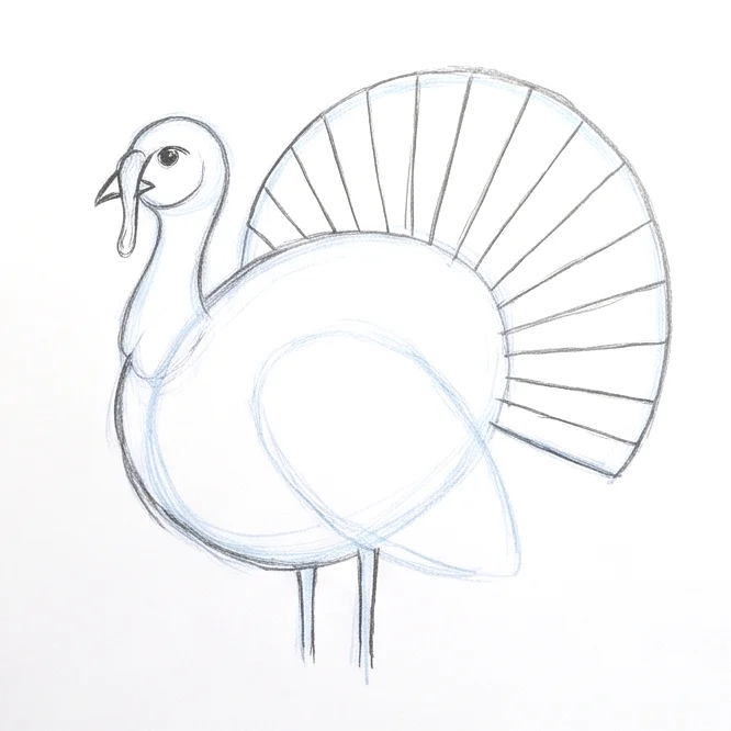Step 5: Tail feather divisions
