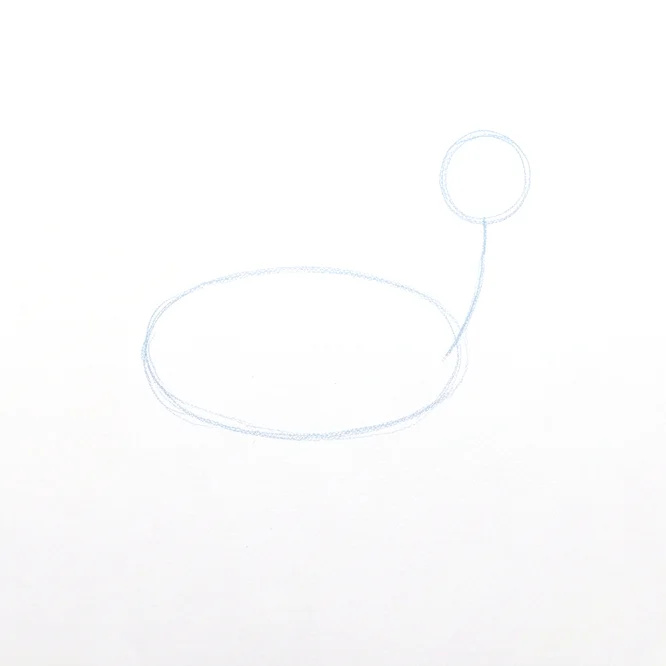 Step 1: Basic body shapes
