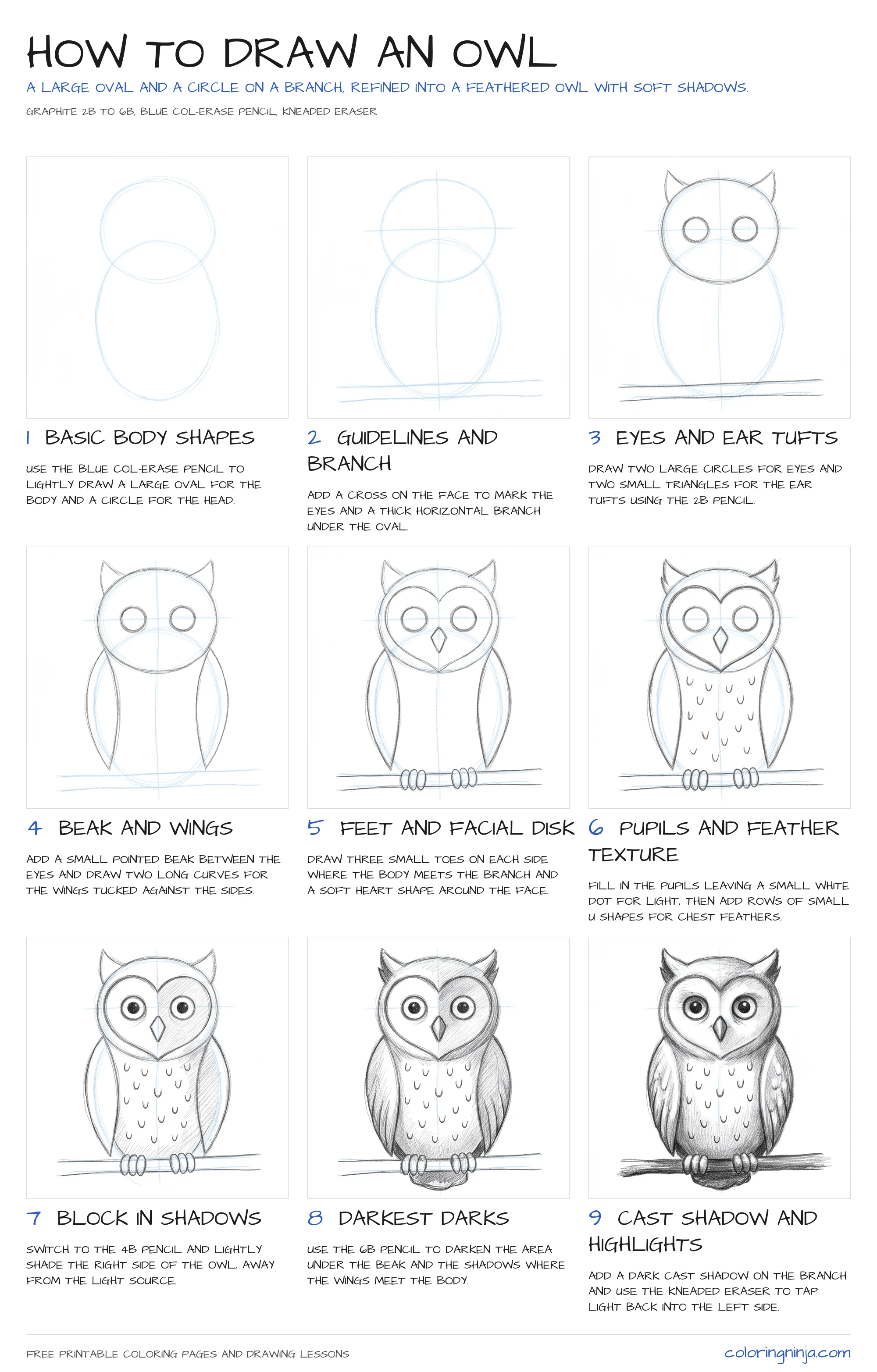 How to draw an Owl: the 9-step lesson sheet