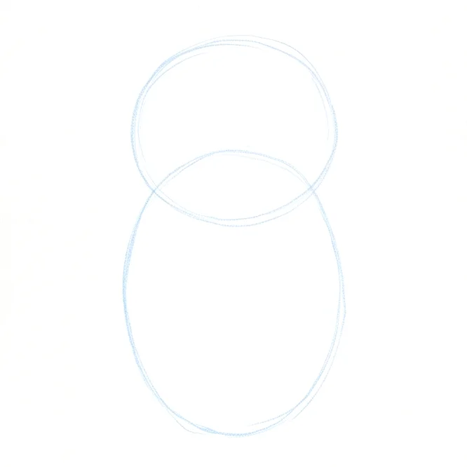 Step 1: Basic body shapes